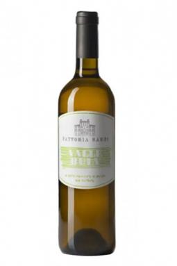 Fattoria Sardi - Sauvignon Blanc 2024